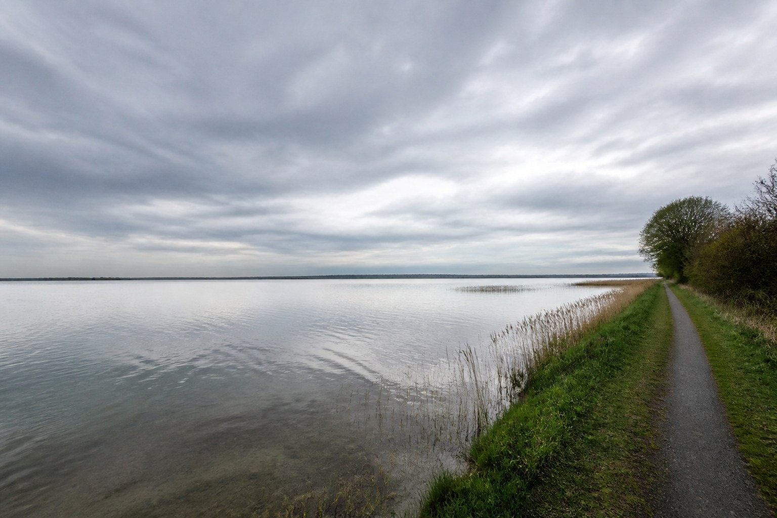 Steinhuder Meer as a silver inland lake with a low reed shore and a wide sky